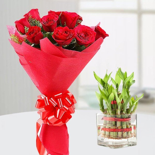 Buy / Send Lucky Bamboo Roses Emotion Online from OyeGifts