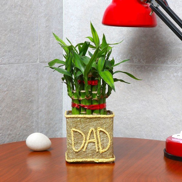 Buy/Send Love u Dad Plant Gifts Online from OyeGifts