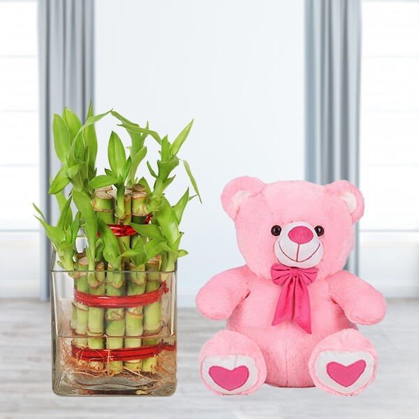 Buy 2 Layer Bamboo With Teddy Online from OyeGifts