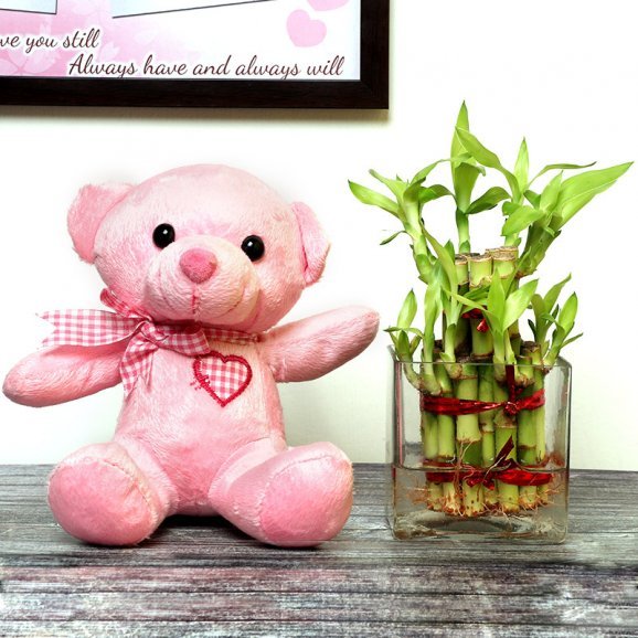 Buy or Order 2 Layer Beautiful Bamboo - Midnight Gifts Delivery Online : OyeGifts