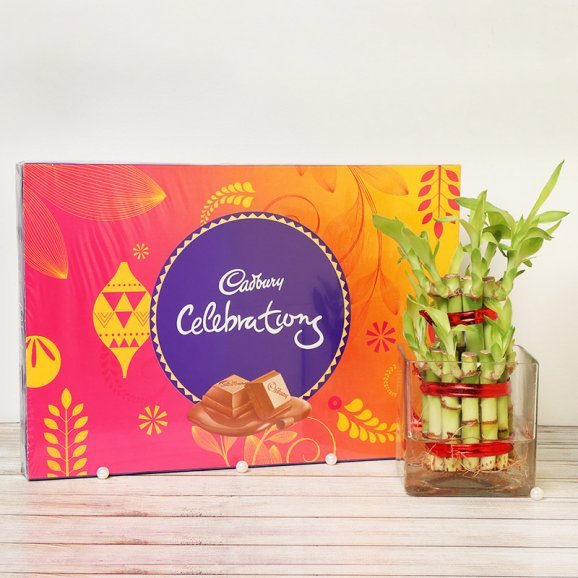 Buy or Order 2 Layer Lush Green Bamboo - Midnight Gifts Delivery Online : OyeGifts