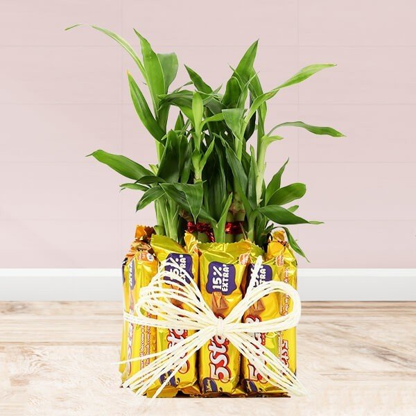 Plants