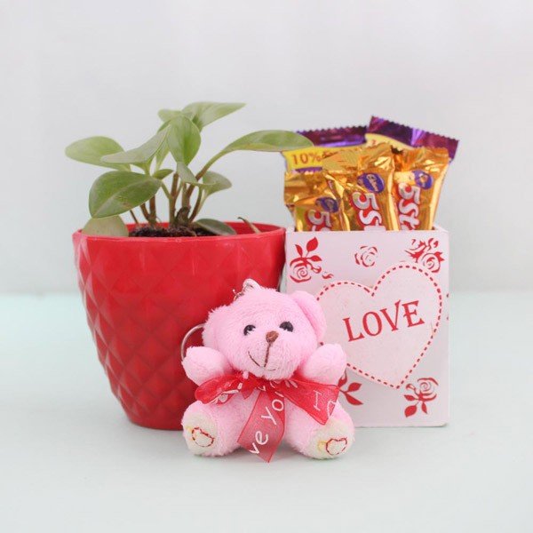 Buy/Send Eco Friendly Love Online