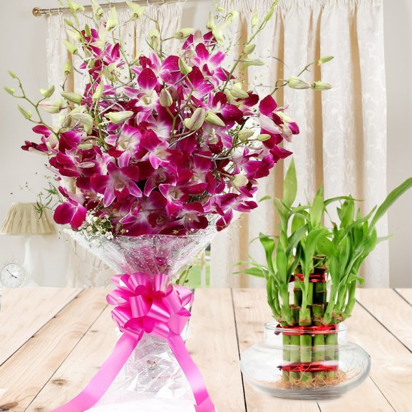 Buy / Send Floral ExpressionsOnline