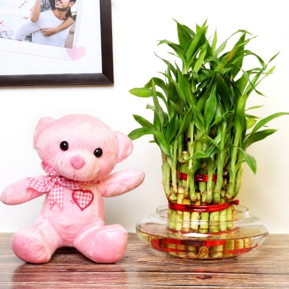 Buy / Send 3 Layer Bamboo Exuberance Online from OyeGifts