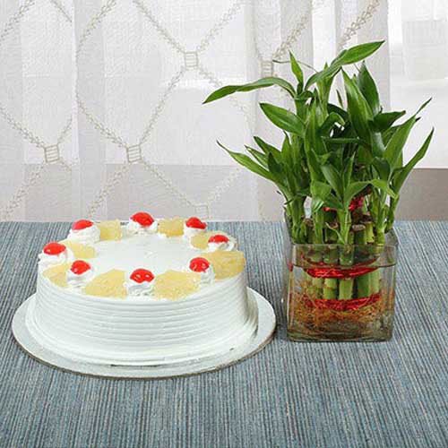Buy / Send Pineapple Cake N Lucky Bamboo Gifts online @ Best Price | OyeGifts