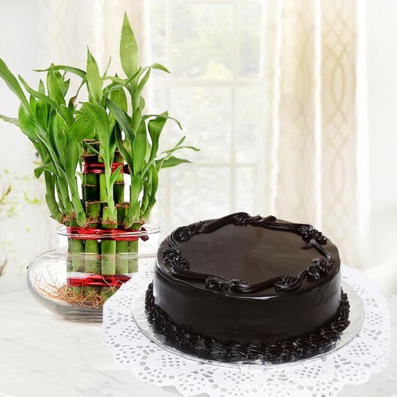 Buy / Send Dreamy Delights Online from OyeGifts