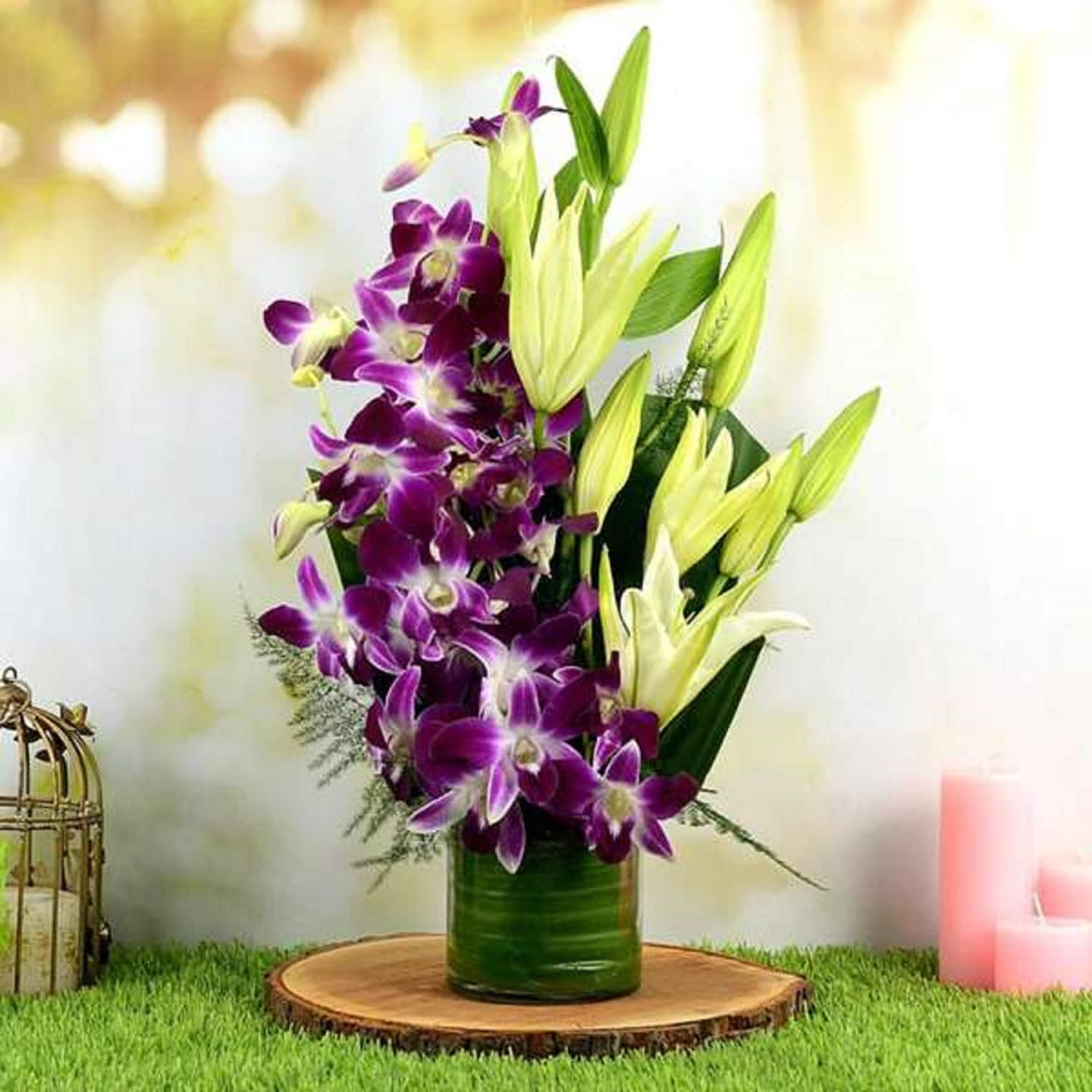Beautiful Orchidaceous |