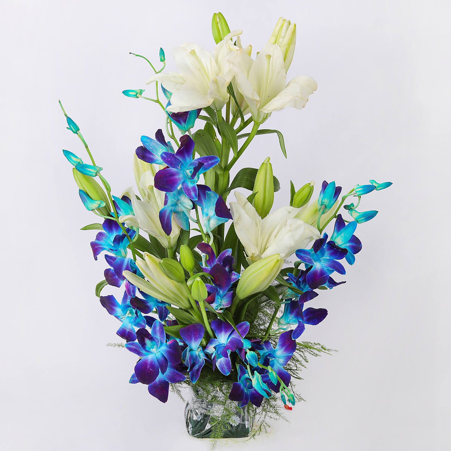 Energetic Blooms |