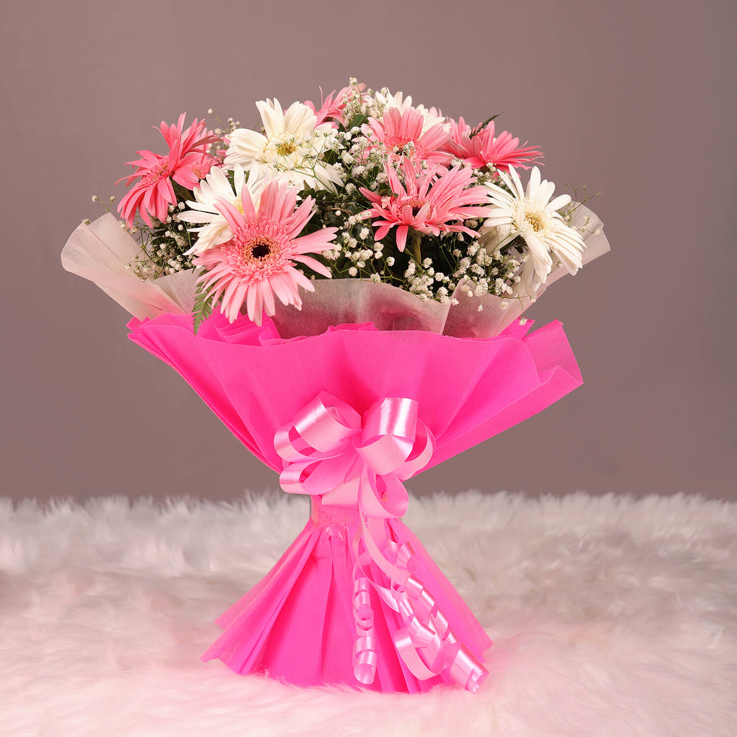 Blooming  Pink Gerbera |
