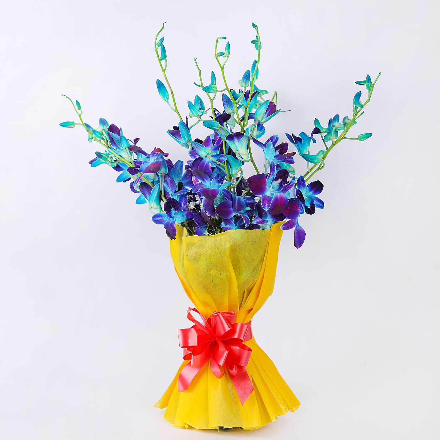 Buy Online Elegantly Blue For Your Special One |