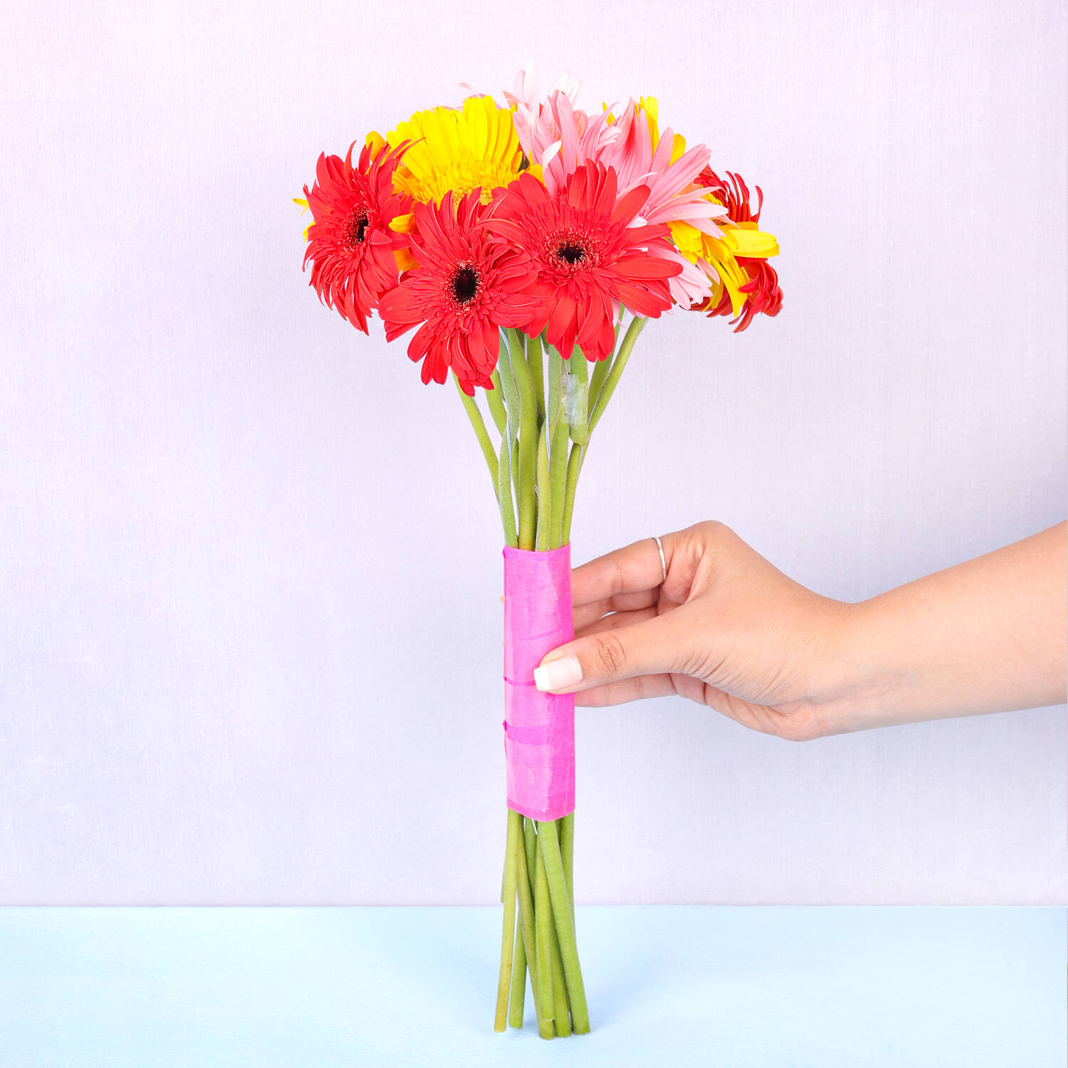 Lovely Gerberas Bunch |