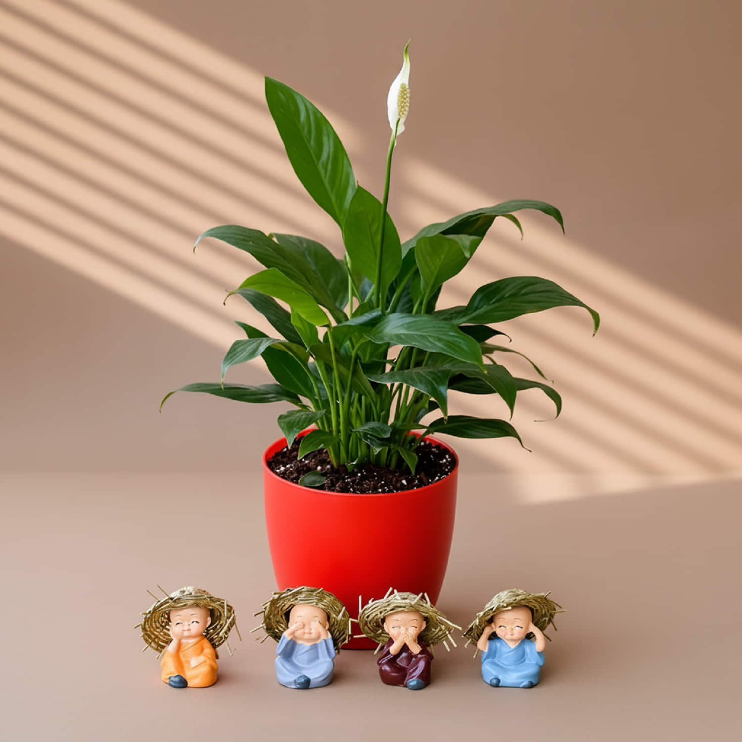 Order Online Pleasing Peace Lily with Cute Hay Hat Monks From  |