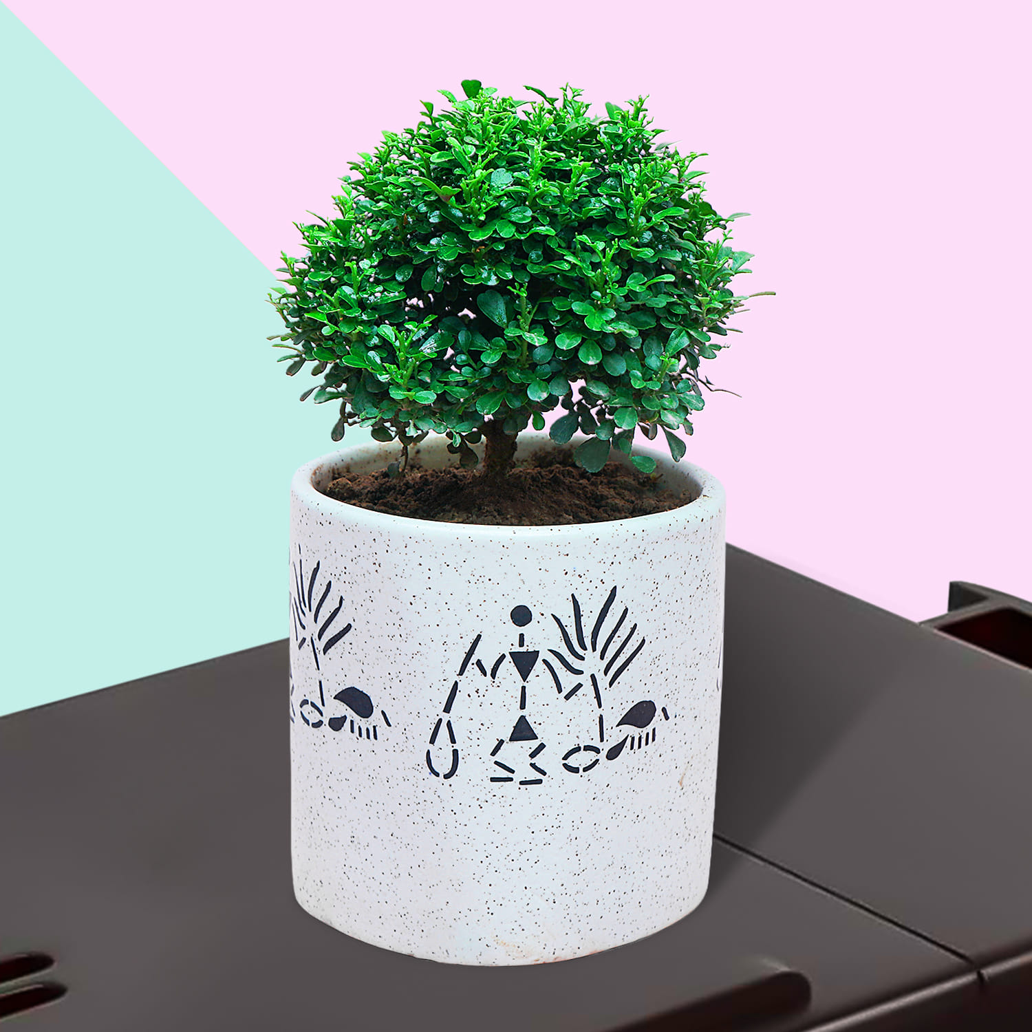 Buy White Potted Table Kamini and Surprise your dear ones on Special Day |