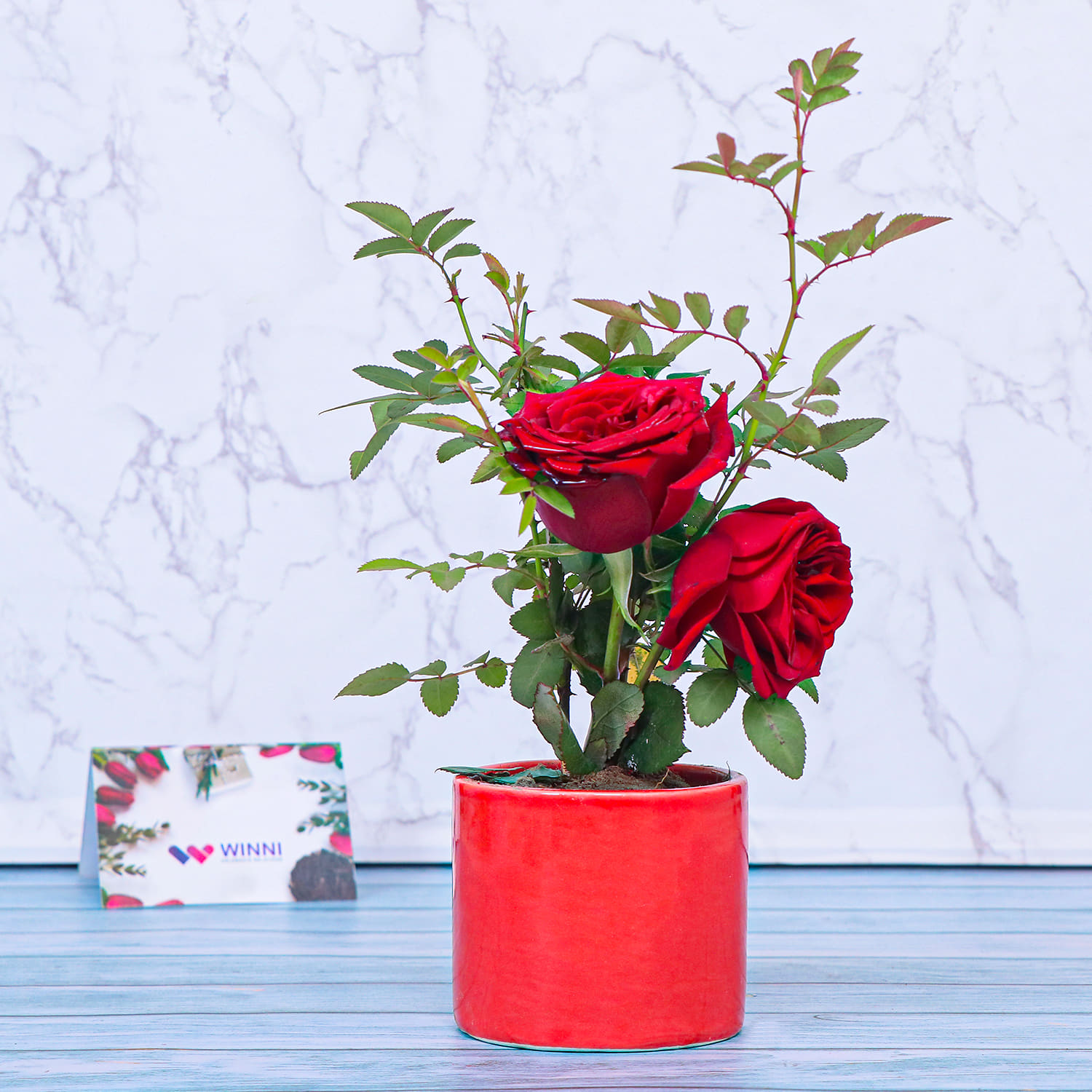 Remarkable Roses |