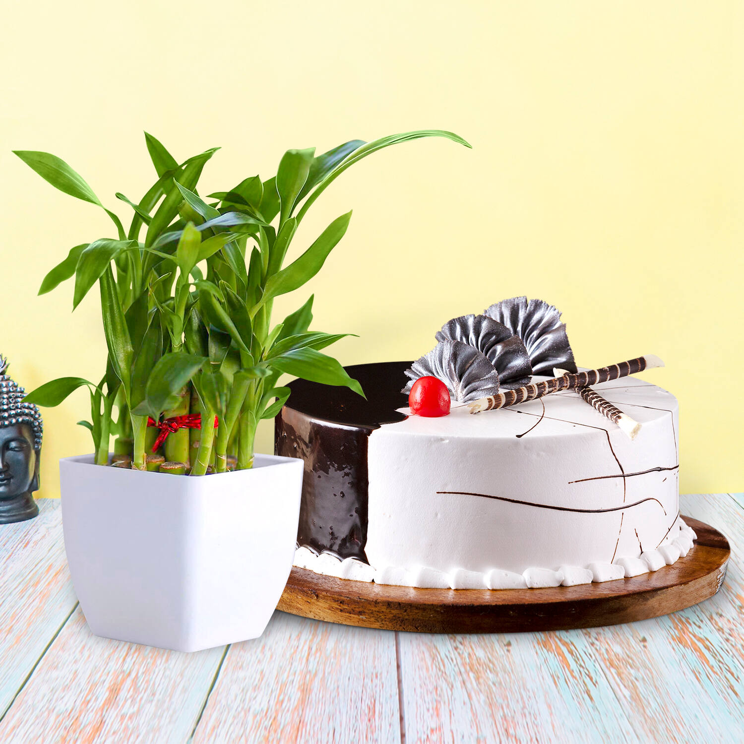 Choco Vanilla Cake With Bamboo Plant |