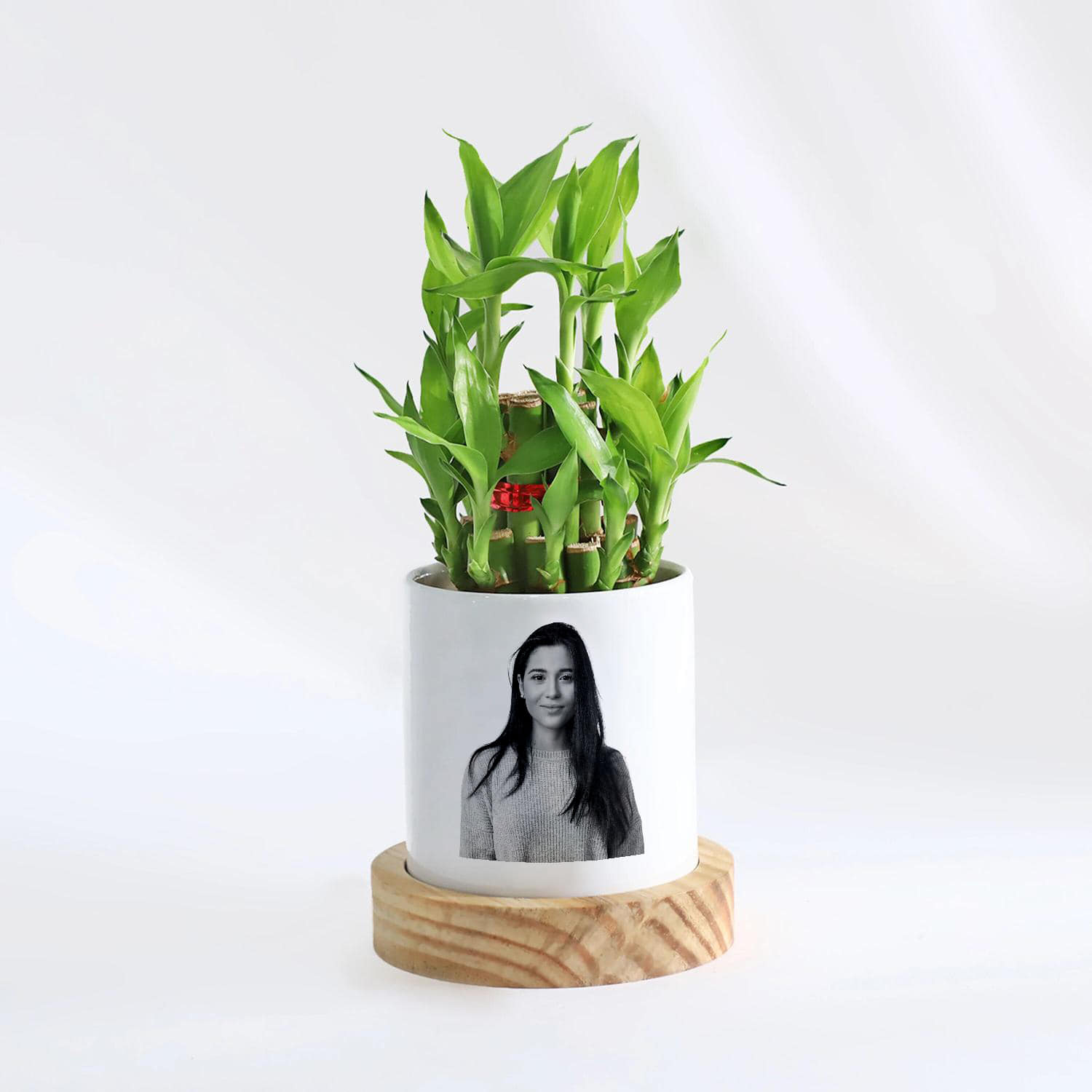 Personalised Two Layer Lucky Bamboo Plant |