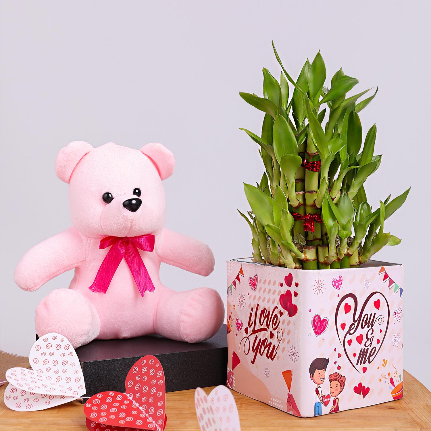 Adorable Teddy With Bamboo Combo |